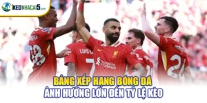 Bảng Xếp Hạng Bóng Đá - Yếu Tố Ảnh Hưởng Tỷ Lệ Kèo