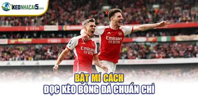 Bật mí cách đọc kèo bóng đá chuẩn chỉnh