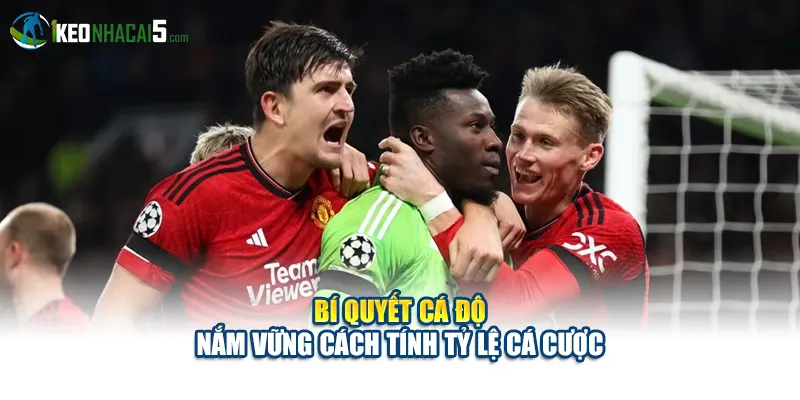 Bí quyết cá độ - Nắm vững cách tính tỷ lệ cá cược