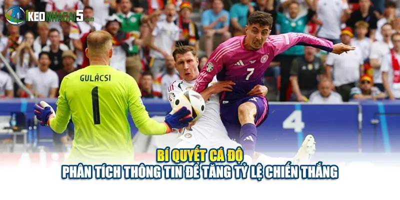 Bí quyết cá độ - Phân tích thông tin để tăng tỷ lệ chiến thắng