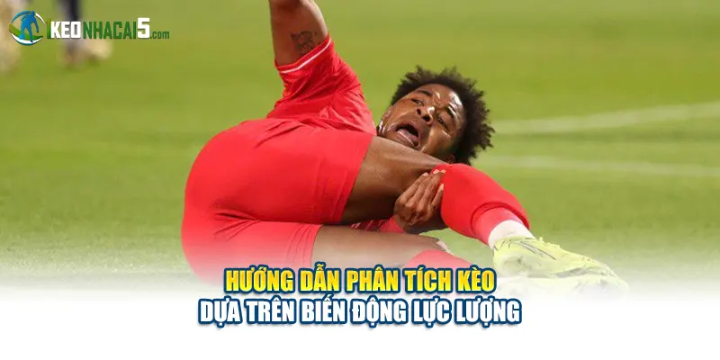 Hướng dẫn phân tích kèo dựa trên biến động lực lượng