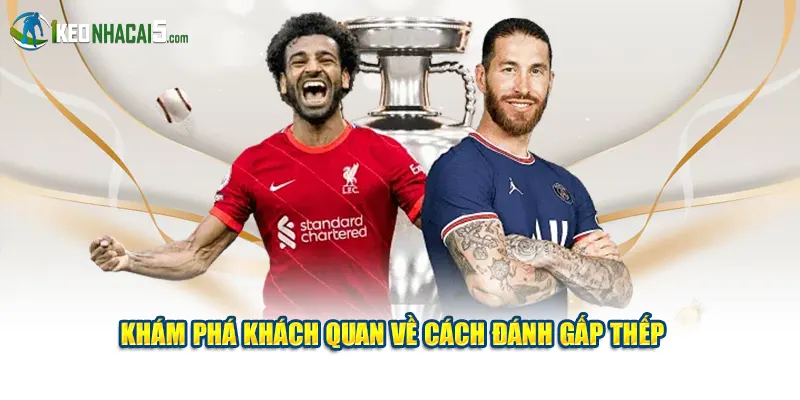 Khám phá khách quan về cách đánh gấp thếp 