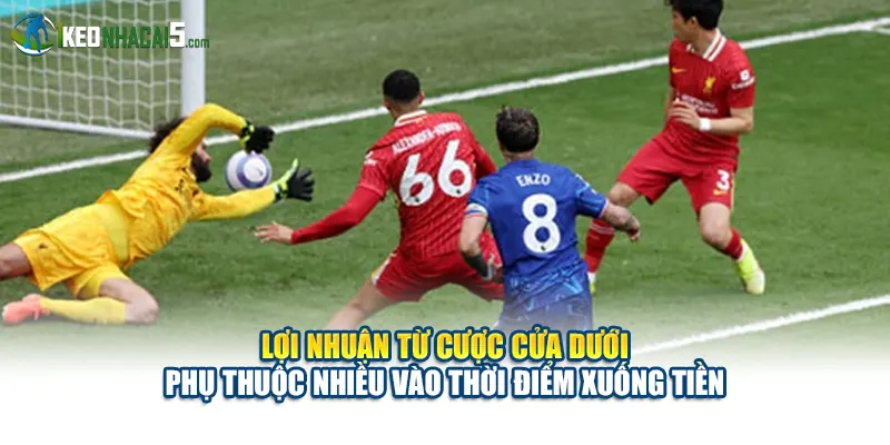 Lợi nhuận từ cược cửa dưới phụ thuộc nhiều vào thời điểm xuống tiền