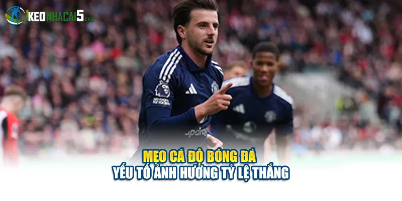 Mẹo cá độ bóng đá - Yếu tố ảnh hưởng tỷ lệ thắng