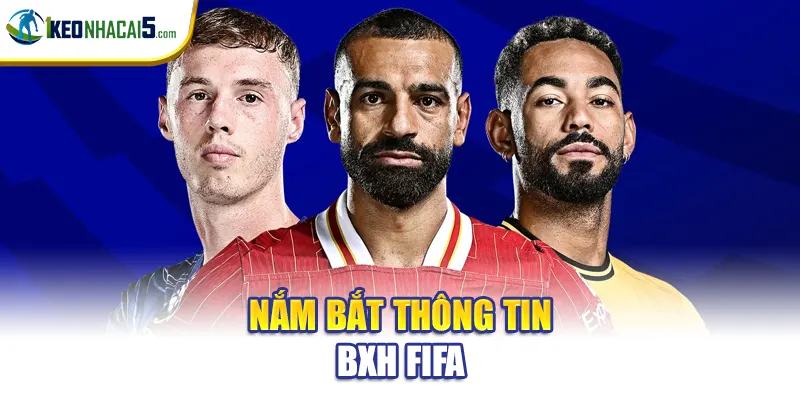 Nắm bắt thông tin BXH FIFA