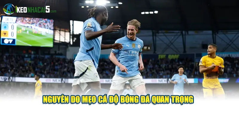 Nguyên do mẹo cá độ bóng đá quan trọng