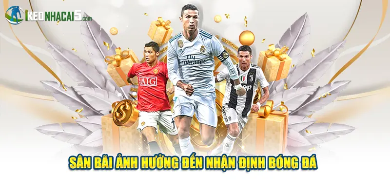 Sân bãi ảnh hưởng đến nhận định bóng đá