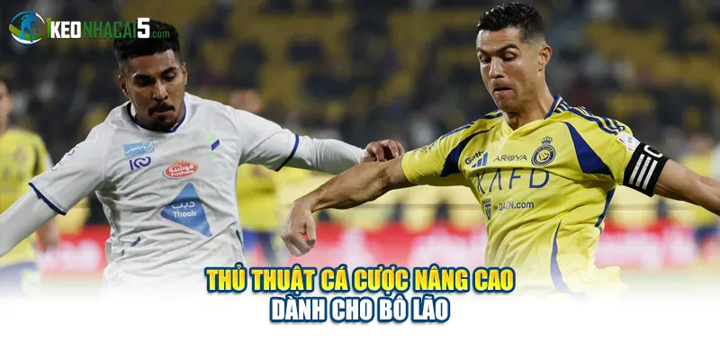 Thủ thuật cá cược nâng cao dành cho bô lão