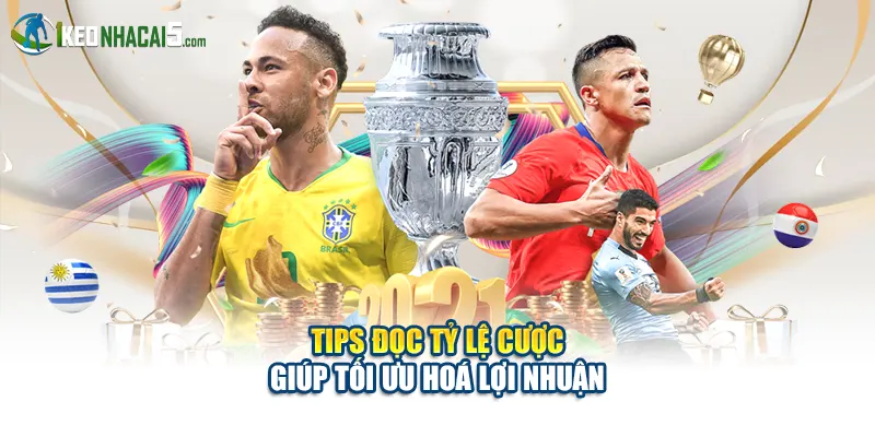 Tips đọc tỷ lệ cược giúp tối ưu hoá lợi nhuận